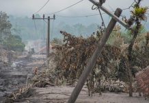 Dampak Erupsi Semeru: 3 Orang Luka Berat hingga 204 Hektare Lahan Rusak