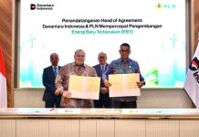 Sasar Penciptaan Lapangan Kerja Hijau serta Energi Bersih, Danantara Indonesia dan PLN Jajaki Peluang Investasi Energi Baru Terbarukan