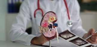 Jadi ‘Pembunuh Senyap, Kenali Tanda Ginjal Rusak yang Kerap Diabaikan