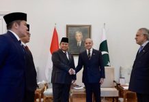 Pakistan Mau Kirim Dokter dan Pakar Kesehatan ke Indonesia, Prabowo Happy