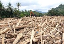 Bencana di Sumatera, Waka Komisi IV DPR Usul Panja Penyelamatan Hutan