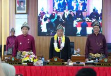 Wagub Cik Ujang Apresiasi Kemandirian Ogan Ilir di Usia ke-22