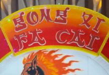 THE 1O1 HOTEL PALEMBANG RAJAWALI HADIRKAN PENGALAMAN MENGINAP DAN BERSANTAP PENUH MAKNA DI YEAR OF THE FIRE HORSE