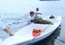 Sepanjang 2025, TJSL PLN Peduli Jangkau Lebih dari 700 Ribu Penerima Manfaat di Seluruh Indonesia