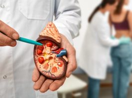 Kanker Ginjal Diprediksi Berlipat Ganda di 2050, Kebiasaan Ini Bisa Jadi Pemicu