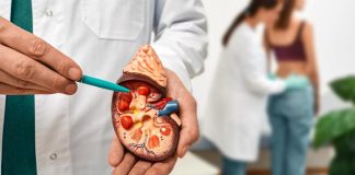 Kanker Ginjal Diprediksi Berlipat Ganda di 2050, Kebiasaan Ini Bisa Jadi Pemicu