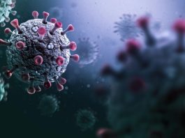 Bukan COVID-19 Cicada, Ini Varian Baru Corona yang Dominan di RI