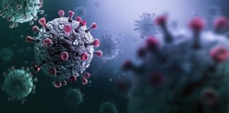 Bukan COVID-19 Cicada, Ini Varian Baru Corona yang Dominan di RI