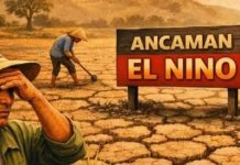 El Nino ‘Godzilla’ OTW RI, Suhu Panas Ekstrem yang Bisa Picu Masalah Kesehatan