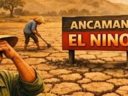 El Nino ‘Godzilla’ OTW RI, Suhu Panas Ekstrem yang Bisa Picu Masalah Kesehatan