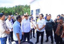 Wagub Sumsel Cik Ujang Usulkan SPBUN dan Jembatan Permanen saat Dampingi Menko Polkam di KNMP Sungsang