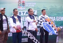 Wagub Sumsel Cik Ujang Ajak Warga Perkuat Kebersamaan dalam Jalan Santai HUT ke-80 Sumsel