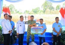 Wagub Sumsel Cik Ujang Ajak Petani Perkuat Swasembada Pangan saat Panen Raya Jagung di OKU Selatan