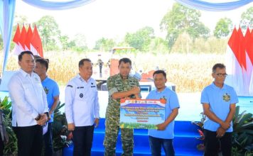 Wagub Sumsel Cik Ujang Ajak Petani Perkuat Swasembada Pangan saat Panen Raya Jagung di OKU Selatan