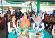 Gubernur Herman Deru Tekankan Pentingnya Kolaborasi untuk Majukan 800 Ribu UMKM Sumsel