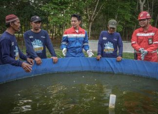 Pertamina Patra Niaga Kilang Plaju Perkuat Harmoni dengan Alam untuk Dukung Keandalan Energi Berkelanjutan