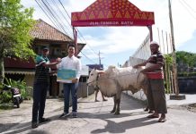Bukan Sekadar Berbagi, Kilang Plaju Tebar Kebersamaan dan Kepedulian kepada Masyarakat Melalui Penyaluran Hewan Qurban