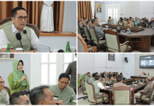 Ratu Dewa Jajaki Kerja Sama dengan Kedutaan Belanda untuk Penanganan Banjir Palembang