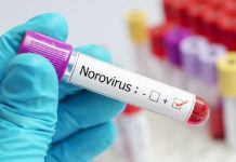 Infeksi Norovirus Mewabah di Kapal Pesiar Ambition, Prancis Isolasi Penumpang