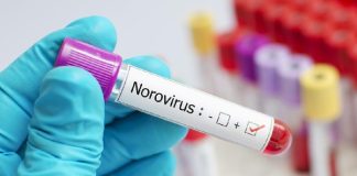 Infeksi Norovirus Mewabah di Kapal Pesiar Ambition, Prancis Isolasi Penumpang