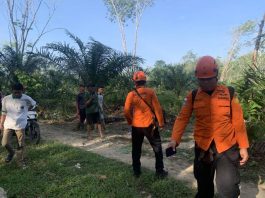Lansia 80 Tahun Hilang Misterius di Musi Rawas, Tim SAR Gabungan Lakukan Pencarian