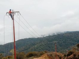 Tembus Medan Berat, PLN Hadirkan Listrik 24 Jam untuk 1.396 Rumah Tangga di Pegunungan Arfak, Papua Barat