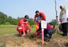 Perkuat Kolaborasi Lintas Sektor, Kilang Plaju Dukung Kembangkan Ruang Hijau Kota Palembang yang Berkelanjutan