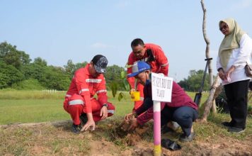 Perkuat Kolaborasi Lintas Sektor, Kilang Plaju Dukung Kembangkan Ruang Hijau Kota Palembang yang Berkelanjutan