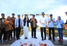Herman Deru Prioritaskan Infrastruktur Dasar, Resmikan Jembatan Penghubung Senilai Hampir Rp5 Miliar di OKI