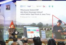 OJK DAN ILO LUNCURKAN ENTERPRISE RESOURCE PLANNING, TINGKATKAN AKSES PEMBIAYAAN PETERNAK SAPI PERAH