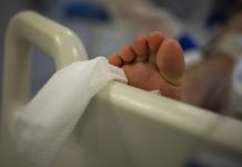 Ngeri! Prancis Laporkan Kasus Ebola Pertama, Pasien Langsung Diisolasi