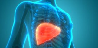 Usia 30-an Kini Banyak yang Kena Fatty Liver, Gejalanya Sering Terabaikan