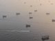 115 Kapal Sudah Melintas Sejak Selat Hormuz Dibuka, 2.500 Pelaut Dievakuasi