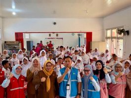Srikandi PLN Mengajar, Kenalkan Keselamatan Listrik Lewat Kelas Interaktif di SD Negeri 87 Palembang