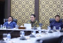 Herman Deru Inisiasi Pembentukan Wadah Organisasi Nasional Satlinmas, Usulkan Deklarasi Nasional Digelar di Sumsel