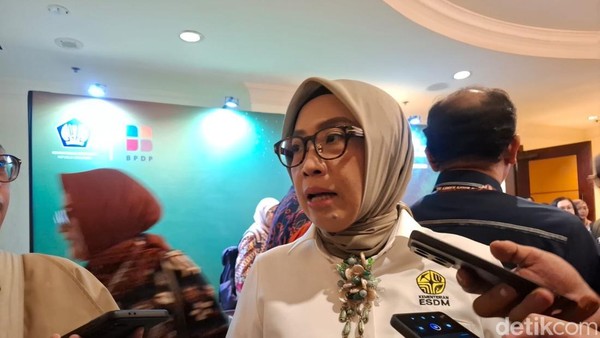 direktur-jenderal-energi-baru-terbarukan-dan-konservasi-energi-ebtke-kementerian-esdm-eniya-listiani-dewi-1784528513599_169