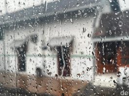 BMKG Ungkap Penyebab Bogor Hujan Usai Berhari-hari Kekeringan