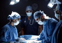 Dari Ginjal hingga Paru, Ini Organ Babi yang Pernah Didonor ke Manusia