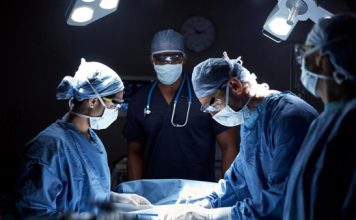 Dari Ginjal hingga Paru, Ini Organ Babi yang Pernah Didonor ke Manusia