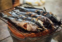 Hukum Makan Ikan Lele yang Diberi Pakan Bangkai atau Kotoran Manusia