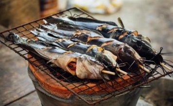 Hukum Makan Ikan Lele yang Diberi Pakan Bangkai atau Kotoran Manusia