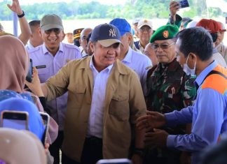 Gubernur Herman Deru Ungkap Kunci Sukses Sumsel Jadi Tiga Besar Nasional Produksi Pangan