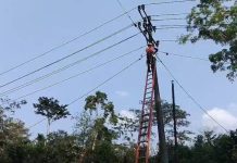 Jelang Kemerdekaan RI, PLN Perkuat Keandalan Listrik di Empat Lawang melalui Pemeliharaan Preventif
