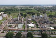 Sambut Bulan Energy & Loss 2026, Kilang Plaju Perkuat Budaya Efisiensi dan Optimasi Loss