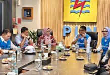 Dirut PLN Tinjau Langsung Keandalan Listrik Peringatan HUT ke-81 RI