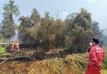 Tekan Risiko Kebakaran Lahan di Puncak Kemarau, Kilang Plaju Gandeng BPBD, Gelar Sosialisasi & Pelatihan Pemadaman Karhutla Untuk Masyarakat