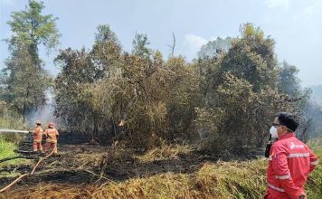 Tekan Risiko Kebakaran Lahan di Puncak Kemarau, Kilang Plaju Gandeng BPBD, Gelar Sosialisasi & Pelatihan Pemadaman Karhutla Untuk Masyarakat