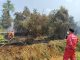 Tekan Risiko Kebakaran Lahan di Puncak Kemarau, Kilang Plaju Gandeng BPBD, Gelar Sosialisasi & Pelatihan Pemadaman Karhutla Untuk Masyarakat