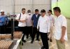 Herman Deru Pastikan Ketersediaan Telur untuk Dukung Program MBG Presiden Prabowo di Sumsel