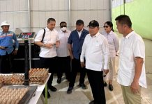Herman Deru Pastikan Ketersediaan Telur untuk Dukung Program MBG Presiden Prabowo di Sumsel